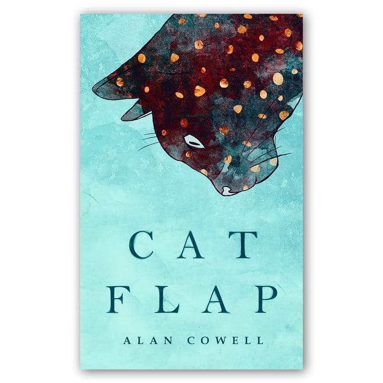 Published book cover