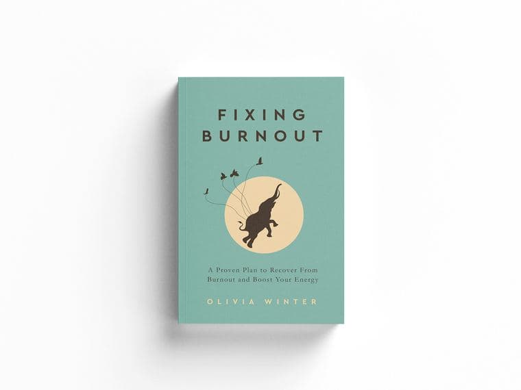 Published book cover
