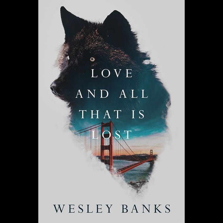 Published book cover