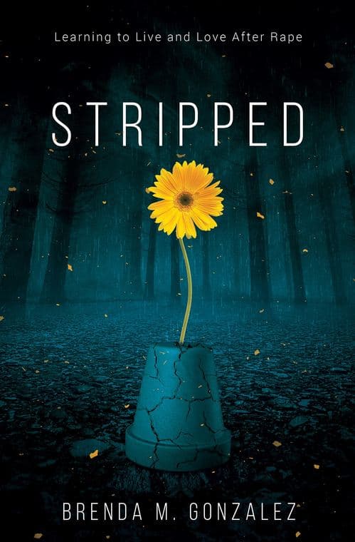 Book cover 1