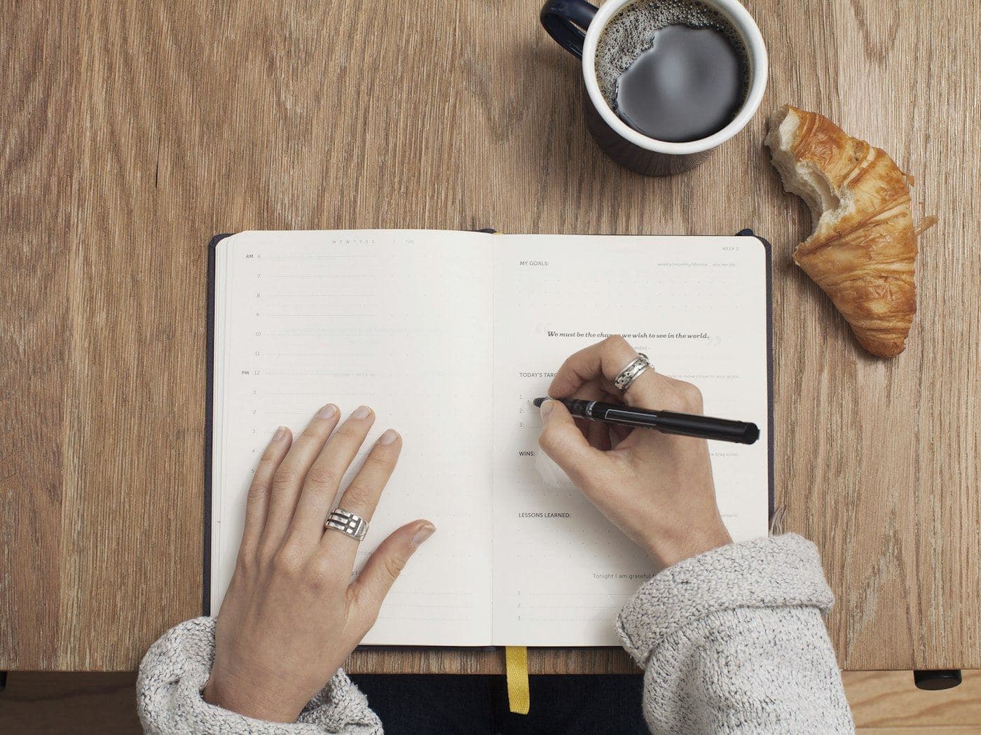 Article Writing & Blogs